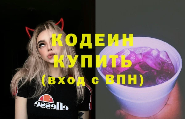 гашик Алексин