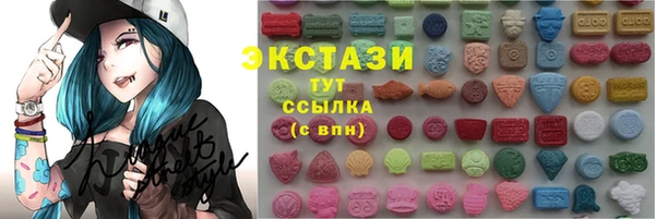 гашик Алексин