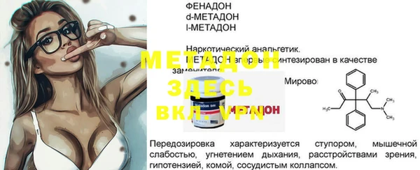 гашик Алексин