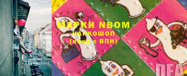 гашик Алексин