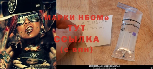 гашик Алексин
