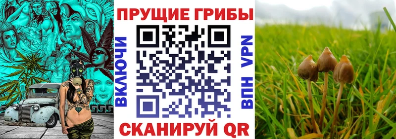Галлюциногенные грибы мухоморы  Среднеколымск 